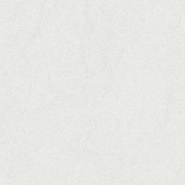 Грес DUSTER Світло-Сірий 071 60х60