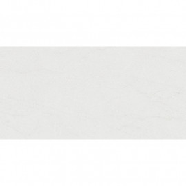 Грес DUSTER Світло-Сірий 071 120х60