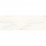 Кахель д/стіни SALUS Світло-Бежевий 021/Р 30х90