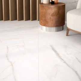 Грес ESSENZA 60х120