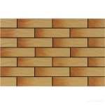 ELEWACJA RUSTICO GOBI