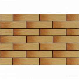 ELEWACJA RUSTICO GOBI