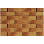 ELEWACJA RUSTICO DAKOTA