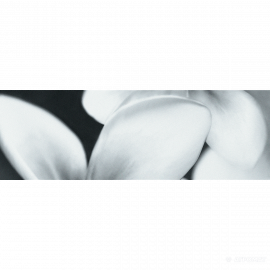 PRET-A-PORTER BLACK FLOWER COMPOSITION декор3