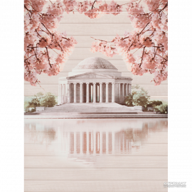 SAKURA PANNO PALACE декор2