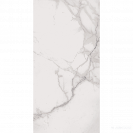 SP6110P SP.ROYAL STAT.ANT.