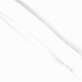 STATUARY BLANCO POL RECT (FAM 004)