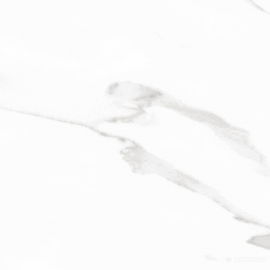 STATUARY BLANCO POL RECT (FAM 004)