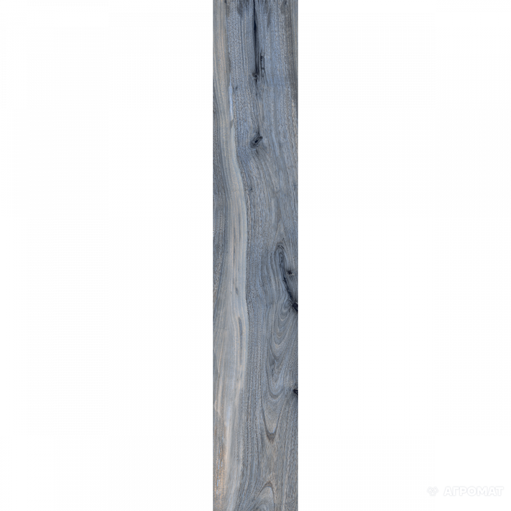 075096 TASMAN LAPP/RET