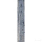 075096 TASMAN LAPP/RET