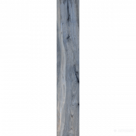 075096 TASMAN LAPP/RET