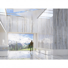 EXPANCE 6060 50 071/L сірий