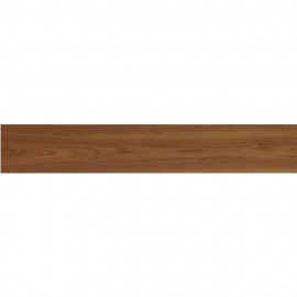 NAMIBIA NOGAL NATURE