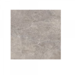 NOIR TOPO 59,6X59,6(A)