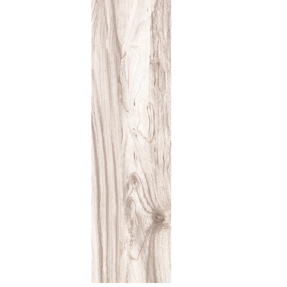 CAROLINA TIMBER WHITE