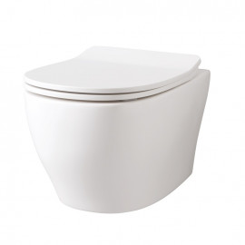 TEA005 01 TEN крышка для унитаза soft-close, белая глянцевая